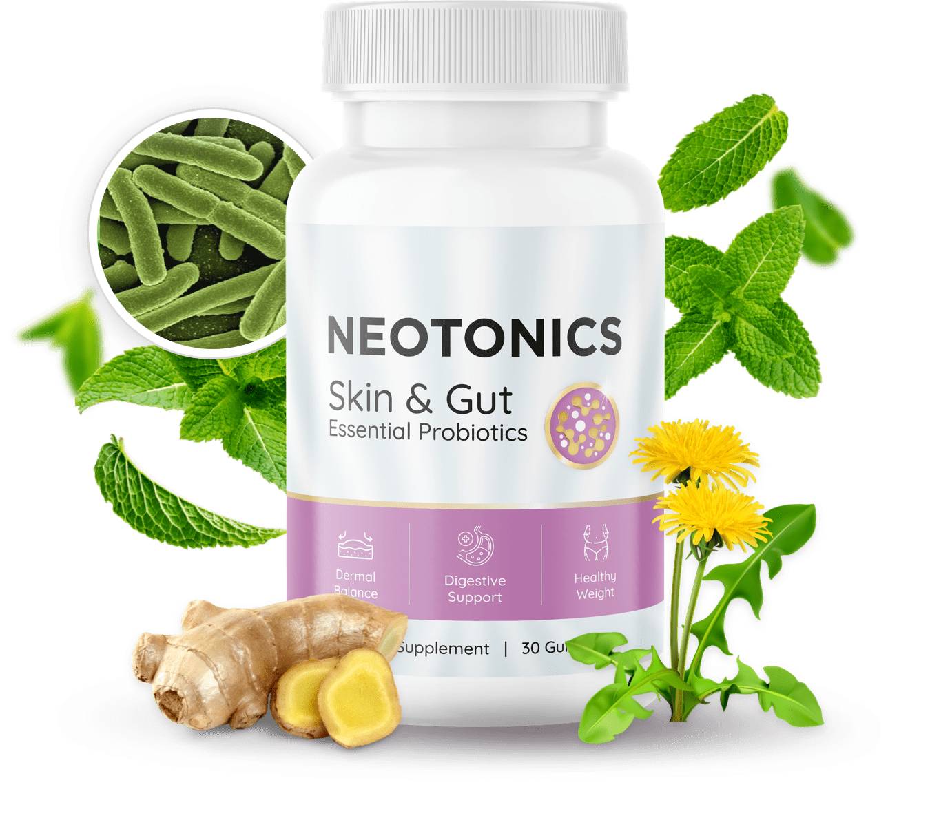 Neotonics Supplement Facts